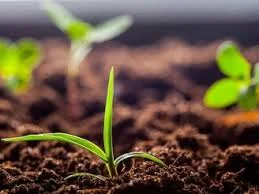 Аміак безводний Київ, Суми, Чернігів, Кропивницький, Вінниця, Житомир, Миколаїв, Дніпро