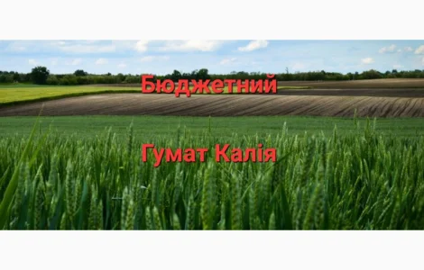 Гумат Калія із Біогумуса