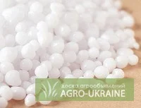 Аміачна селітра