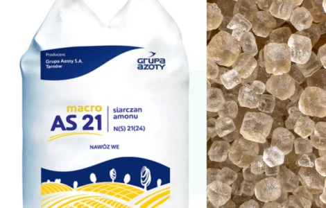 Сульфат амонію Macro Standart AS 21 Macro Grupa Azoty Польща