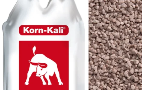 Корн Калій Korn-Kali Німеччина