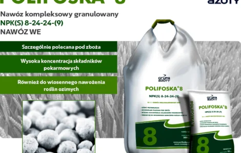Поліфоска 8 NPK 8:24:24+9(S) / Polifoska 8