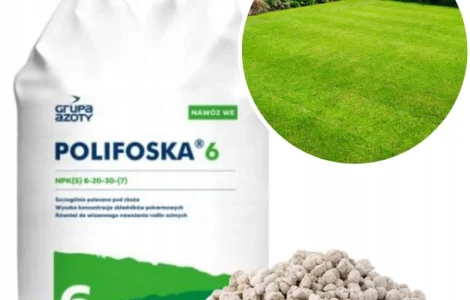 Поліфоска 6 (NPK) 6-20-30 +7(S) / Polifoska 6