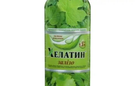 Хелатин Железо 1