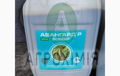 Авангард бобові мікродобриво на сою