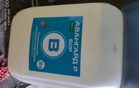 Авангард бор – мікродобриво для культур