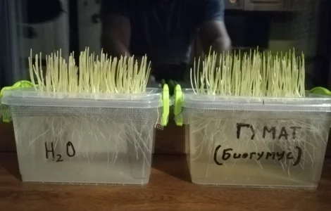 Гумат Калія из біогумуса