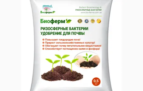 Природні добрива (ризосферні) для газону