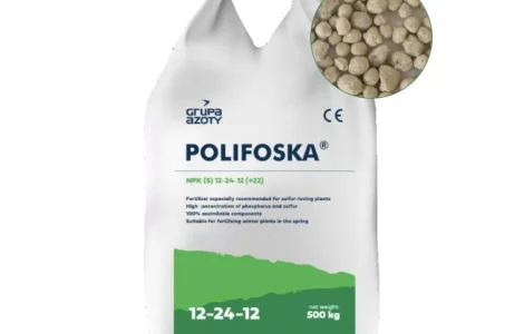 Polifoska 12 NPK+S 12-24-12+22 / Поліфоска 12