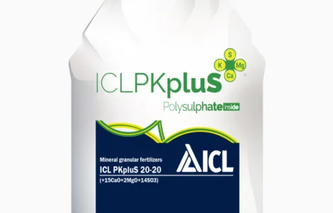 ICL PKpluS 20-20 (+2MgO+15CaO+14SO3) ||| Агро центр «B&S Product»