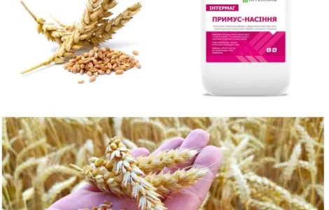 Продам Интермаг/Intermag - Примус-насіння