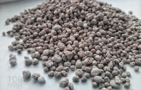 Тарногран Р з бором / Tarnogran R z borem