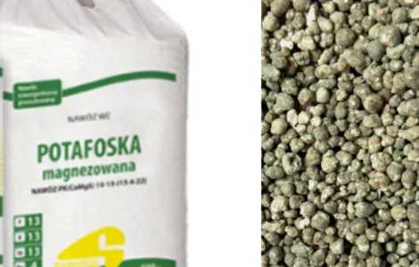 Потафоска Potafoska Siarkopol Сяркополь PK та 4 13 12 Польша
