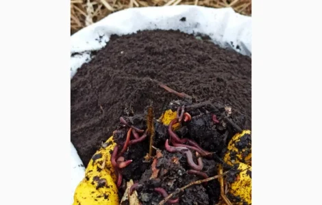 Біогумус вермікомпост просіяний добриво для саду городу компост у мішку 10 і 30 кг