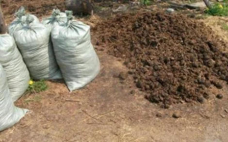 Перегной коровий, конский в мешках и навалом по Запорожью