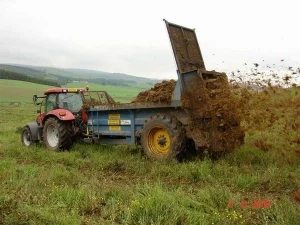 Гній, перегній коров'ячий, курячий послід, грибний компост
