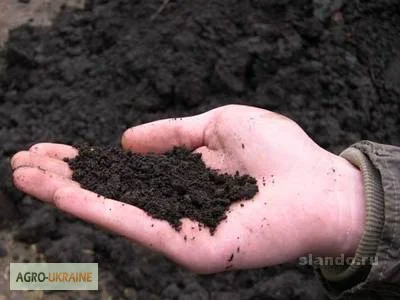Якісний чорнозем в мішках – доставка по Києву