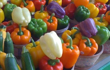 Продаж чорнозему в мішках з доставкою в Київську область