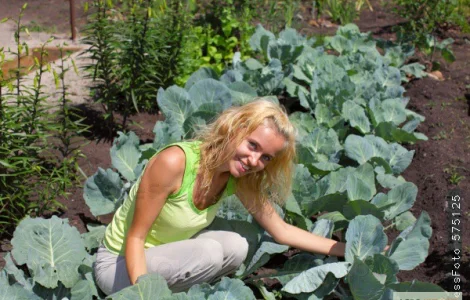 Грунт для квітів та рослин у мішках – продаж у Києві