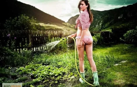 Чорнозем для квітів – якісний грунт для троянд і тюльпанів у Києві