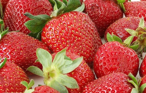 Плодючий чорнозем в мішках – доставка по Києву