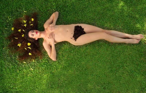 Грунтосуміш у мішках: чорнозем з торфом у Києві