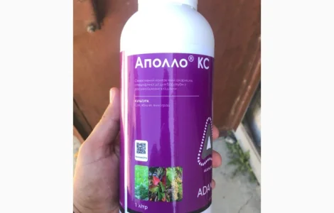 Аполло - селективний контактний акарицид для захисту садів і полів від кліщів