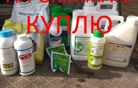 Купую залишки пестицидів і агрохімії