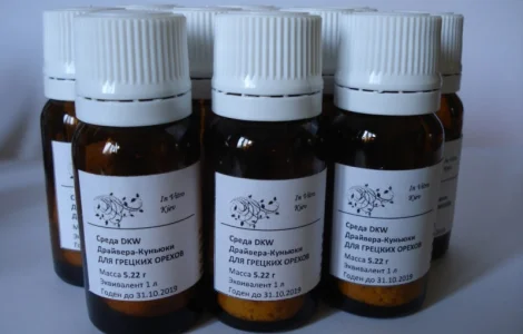 Питательная среда DKW для размножения деревьев и орехов