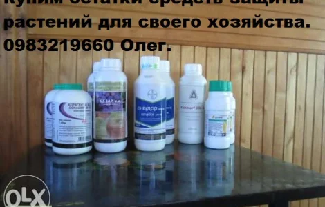 Куплю гербициды,  куплю фунгициды,  куплю инсектициды,  куплю десиканты,  куплю протравители