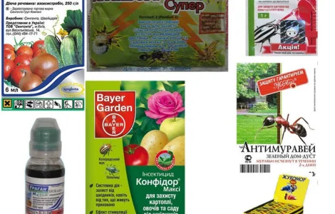 Куплю атара, конфидор, ратибор,  спасатели, ампулы, престиж, татту, хорус