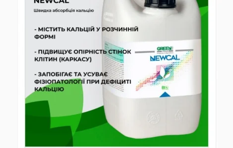 Green Has Newcal (Оксид кальцію (CaO) 16, 8% 5л (Італія)