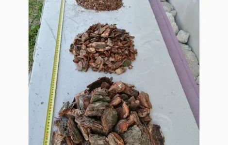 Мульча Киев Кора сосновая Киев купить Мульчирование почвы