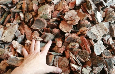 Кора сосновая Мульча Киевская область Кора для мульчирования