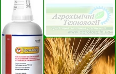 Гренадер ( Гранстар) трибенурон метил, 750