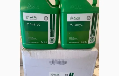 Альвіус - надійний захист посівів кукурудзи від комплексу бур'янів