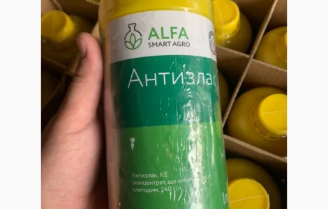 Антизлак - післясходовий грамініцид для знищення одно і багаторічних злакових бур’янів