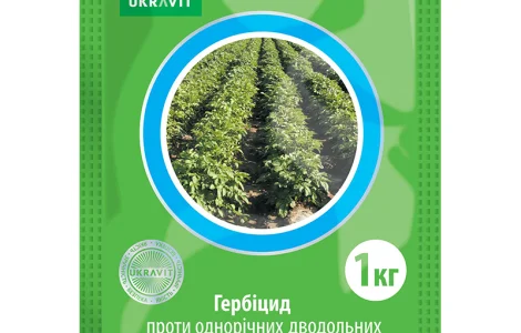 Антисапа – високоефективний системний гербіцид