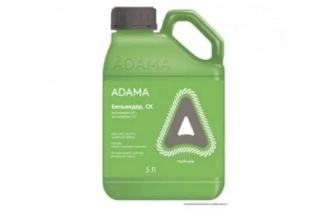 Бельведер к.с. - гербіцид проти бур'янів на посівах цукрових буряків