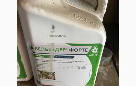 БЕЛЬВЕДЕР ФОРТЕ - надійний захист посівів буряків