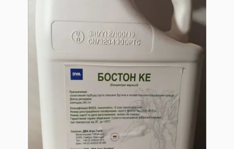 Бостон КЕ - универсальный граминицид против сорняков в посевах сахарной свеклы