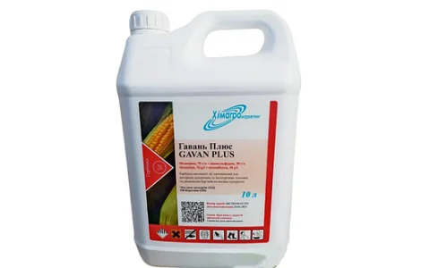 Гавань Плюс - гербіцид системної дії проти бур’янів в посівах кукурудзи