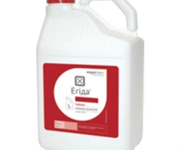 Егіда - ефективний гербіцид проти комплексу бур’янів в посівах кукурудзи