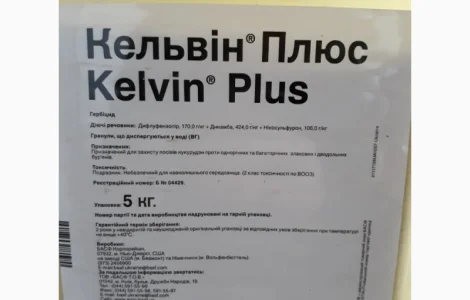 Кельвин Плюс - эффективная защита посевов кукурузы от сорняков