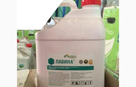 Лавина - гербицид против сорняков в посевах сахарных