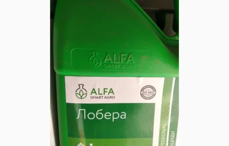 Лобера - захист картоплі