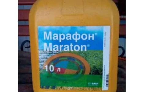 Марафон - гербицид для защиты посевов зерновых культур