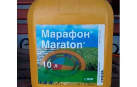 Марафон - гербицид для защиты посевов зерновых культур