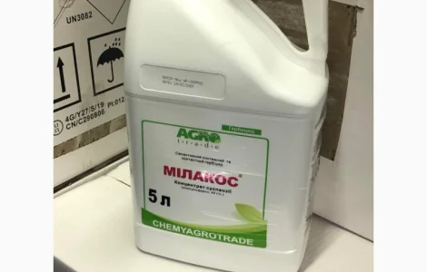 МІЛАКОС - ефективний гербіцид для захисту кукурудзи від комплексу бур'янів