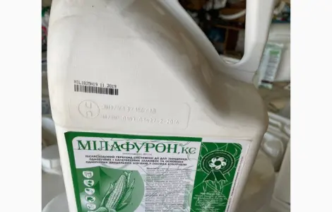 Милафурон - послевсходовый гербицид для уничтожения сорняков в посевах кукурузы